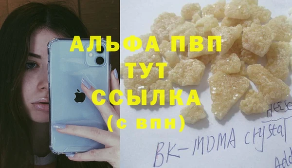 стафф Алексин