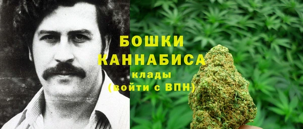 индика Нефтекумск