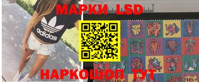 стаф Кинель