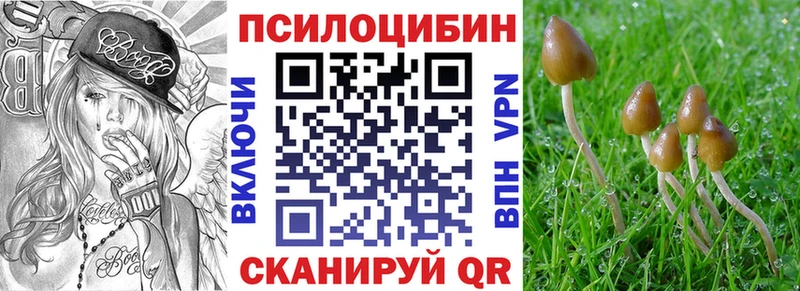 закладка  Советская Гавань  гидра ссылки  Псилоцибиновые грибы мухоморы 
