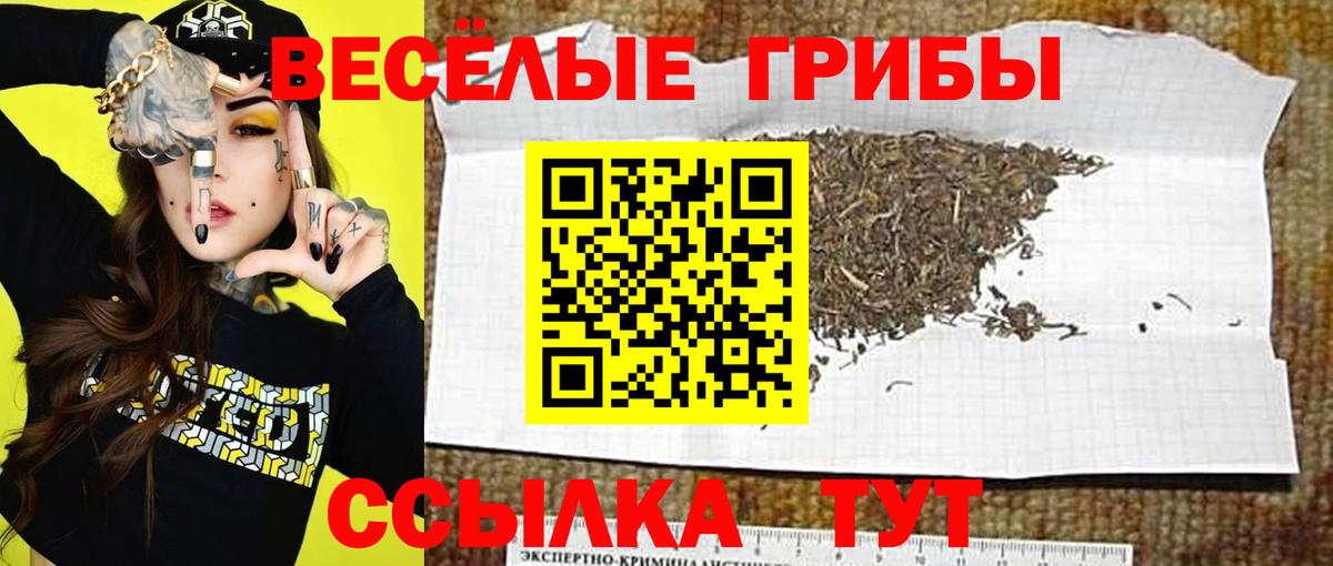Советская Гавань  где купить наркоту  Вход с VPN  Галлюциногенные грибы GOLDEN TEACHER 